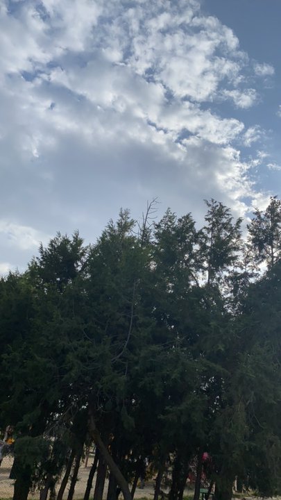 مشاركاتي في أنت الراصد