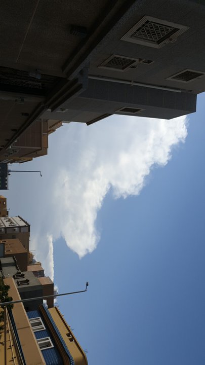 مشاركاتي في أنت الراصد