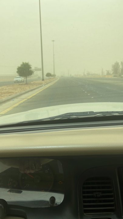 مشاركاتي في أنت الراصد