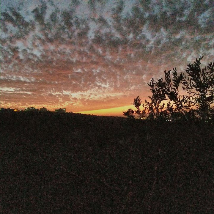 My Crowdsourcing Posts