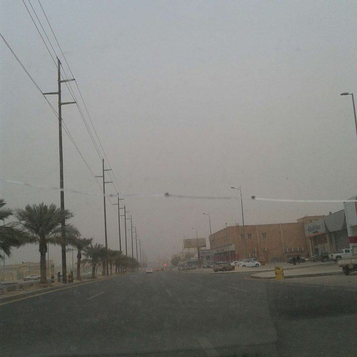 مشاركاتي في أنت الراصد