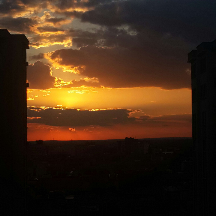 مشاركاتي في أنت الراصد