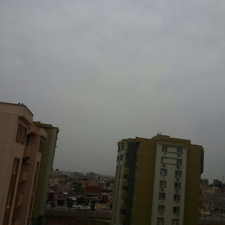 مشاركاتي في أنت الراصد