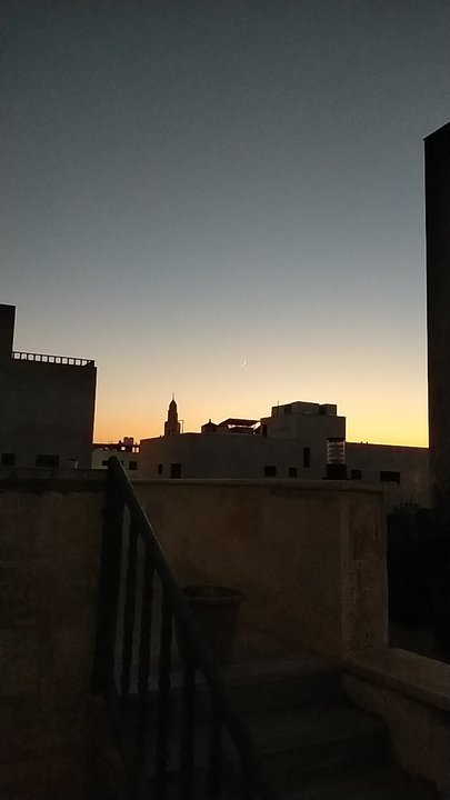 مشاركاتي في أنت الراصد