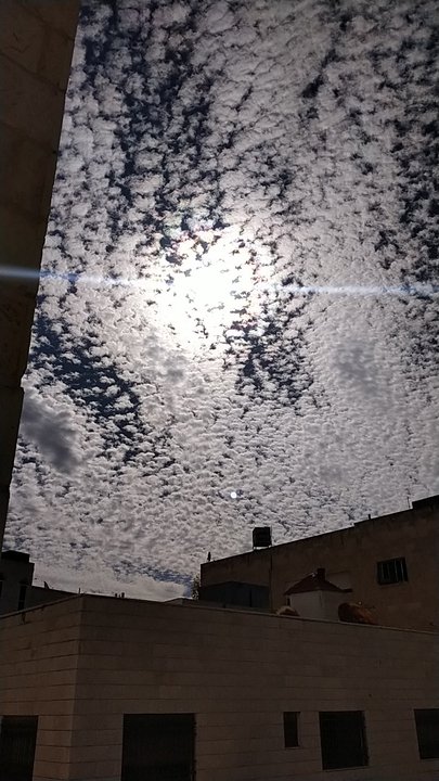 مشاركاتي في أنت الراصد