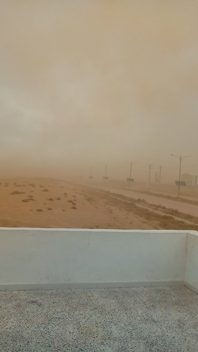 مشاركاتي في أنت الراصد