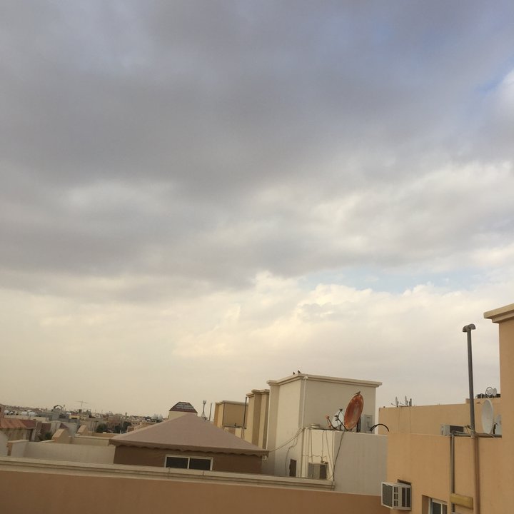 مشاركاتي في أنت الراصد