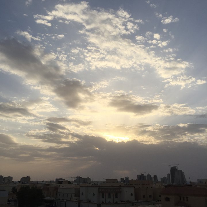 مشاركاتي في أنت الراصد