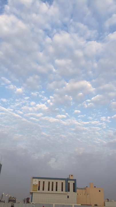 مشاركاتي في أنت الراصد