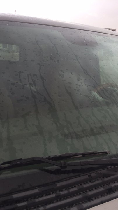 مشاركاتي في أنت الراصد