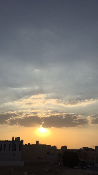 مشاركاتي في أنت الراصد