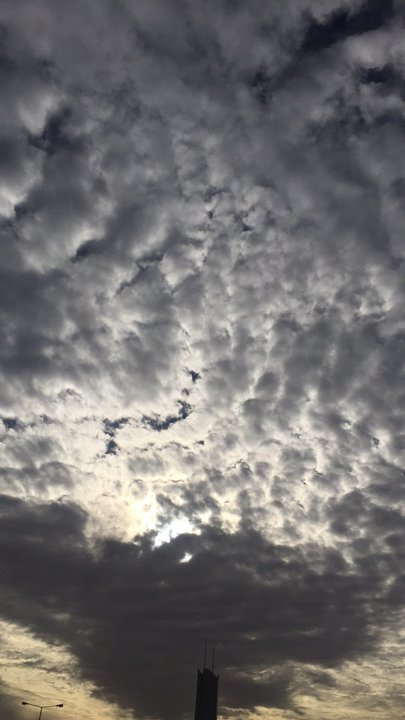 مشاركاتي في أنت الراصد