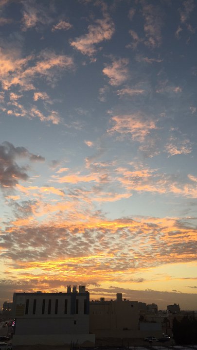 مشاركاتي في أنت الراصد