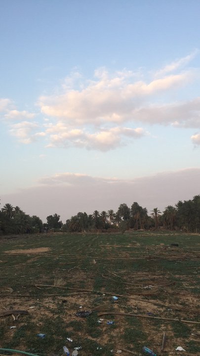 مشاركاتي في أنت الراصد