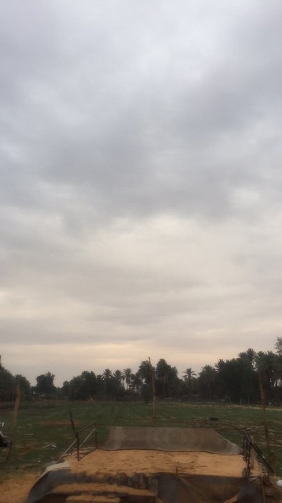 مشاركاتي في أنت الراصد