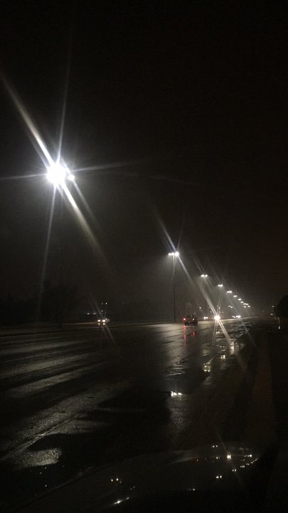 مشاركاتي في أنت الراصد