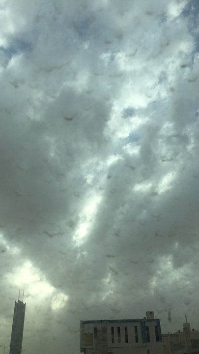 مشاركاتي في أنت الراصد