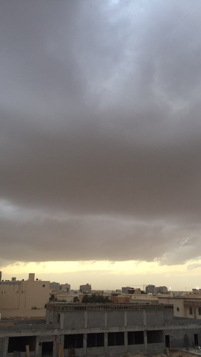 مشاركاتي في أنت الراصد