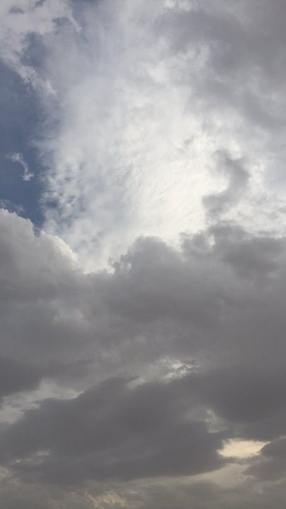 مشاركاتي في أنت الراصد