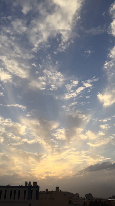 مشاركاتي في أنت الراصد