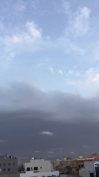 مشاركاتي في أنت الراصد