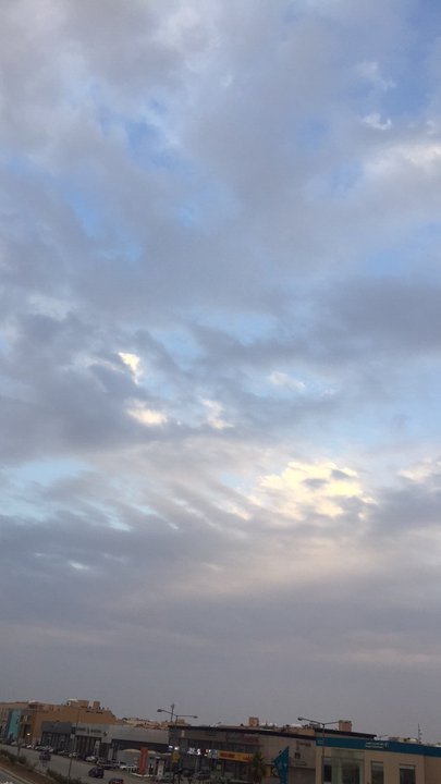 مشاركاتي في أنت الراصد