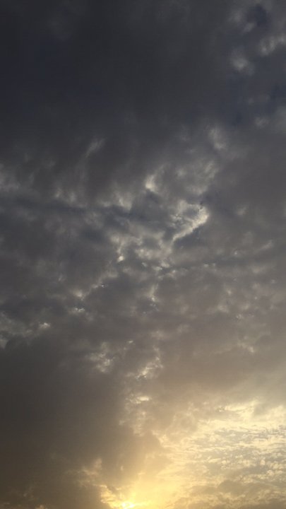 مشاركاتي في أنت الراصد