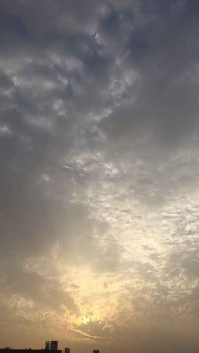 مشاركاتي في أنت الراصد