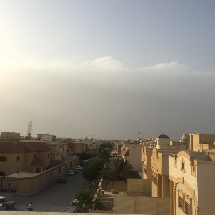 مشاركاتي في أنت الراصد