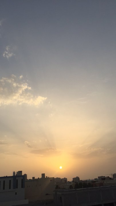 مشاركاتي في أنت الراصد