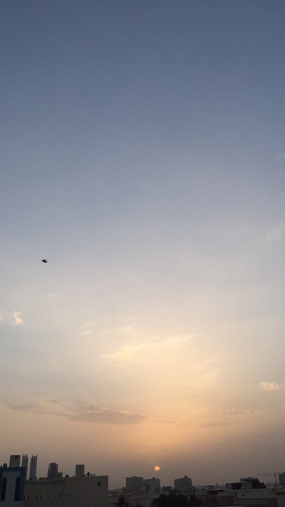 مشاركاتي في أنت الراصد