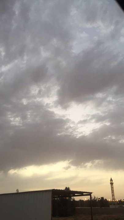 مشاركاتي في أنت الراصد