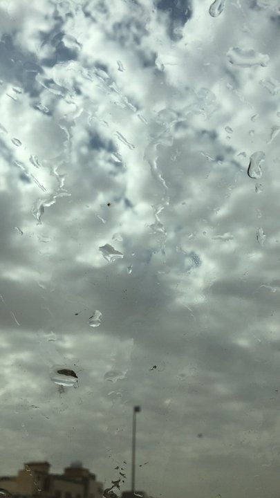 مشاركاتي في أنت الراصد