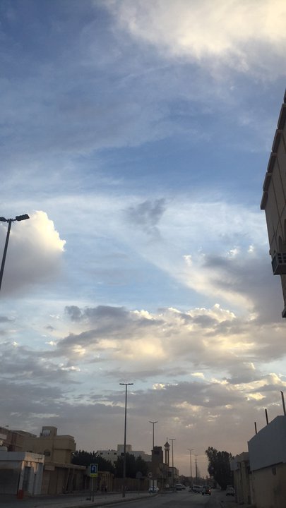 مشاركاتي في أنت الراصد