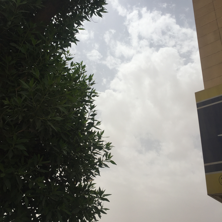 مشاركاتي في أنت الراصد