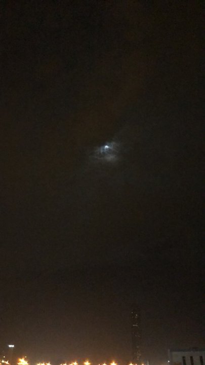 مشاركاتي في أنت الراصد