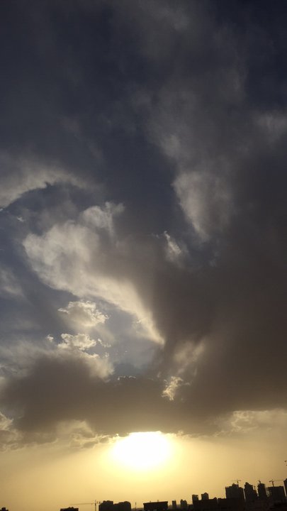 مشاركاتي في أنت الراصد