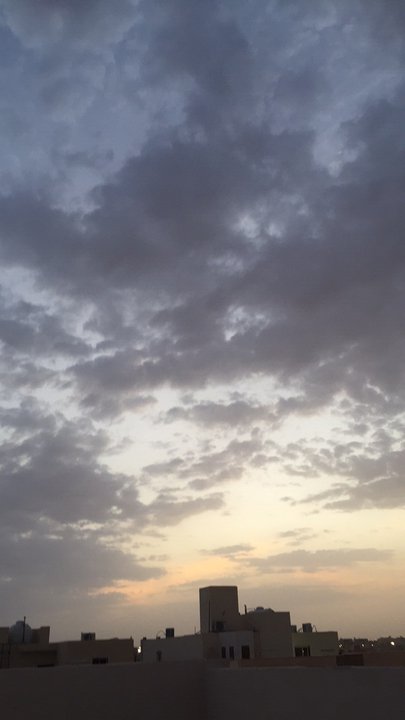 مشاركاتي في أنت الراصد