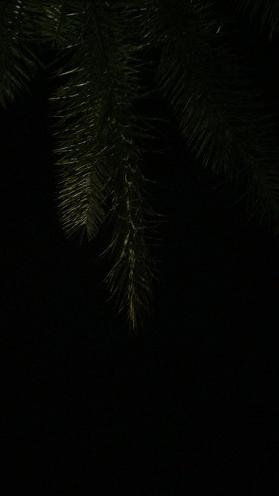 مشاركاتي في أنت الراصد