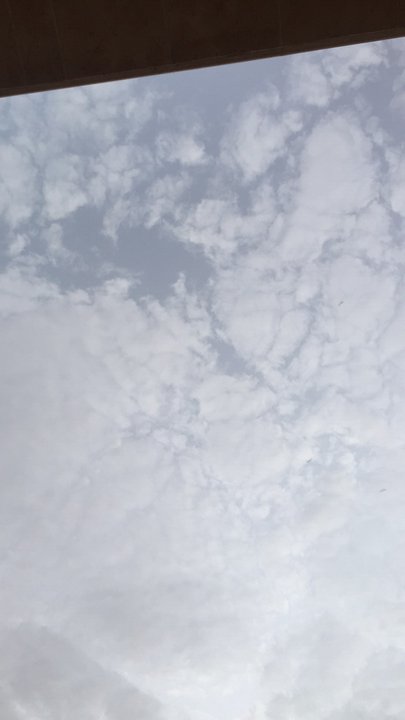 مشاركاتي في أنت الراصد