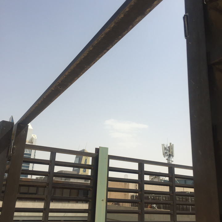 مشاركاتي في أنت الراصد