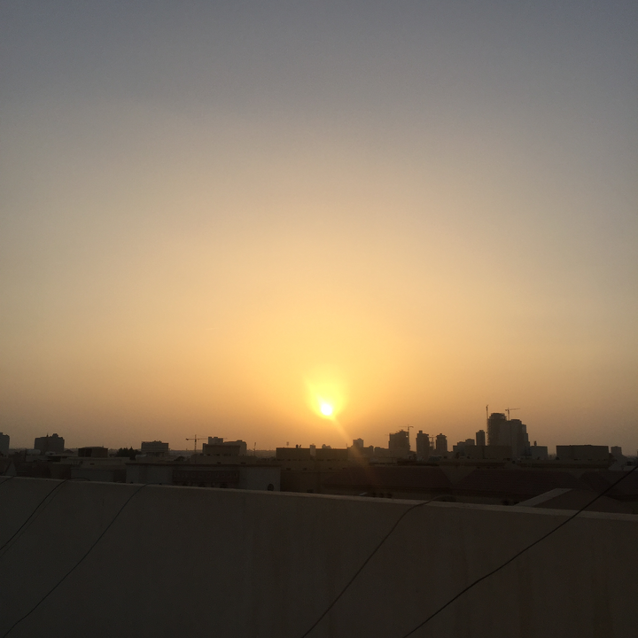 مشاركاتي في أنت الراصد