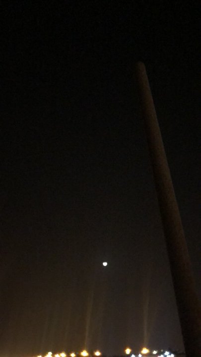 مشاركاتي في أنت الراصد