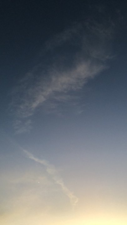 مشاركاتي في أنت الراصد