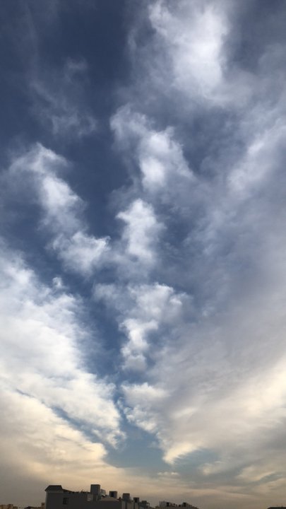 مشاركاتي في أنت الراصد