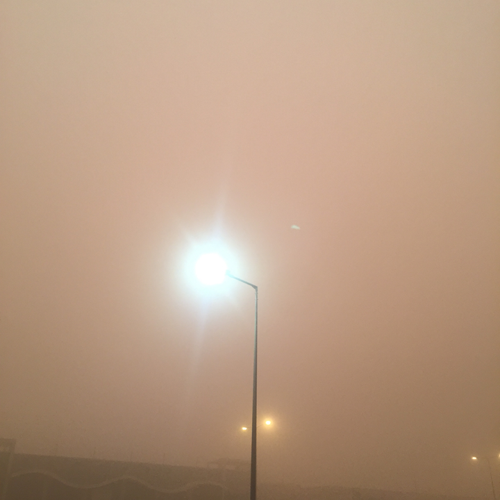 مشاركاتي في أنت الراصد