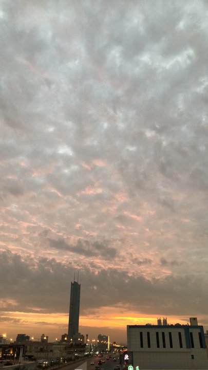 مشاركاتي في أنت الراصد