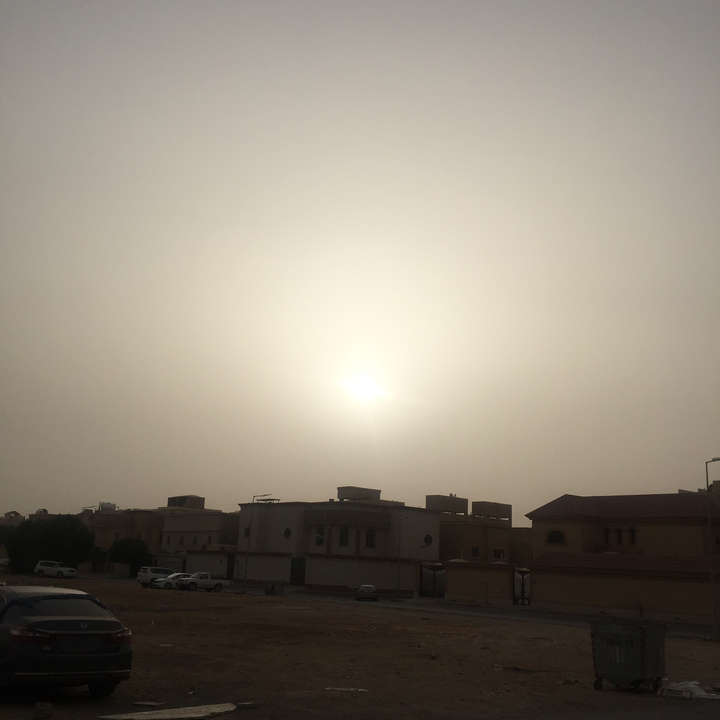 مشاركاتي في أنت الراصد