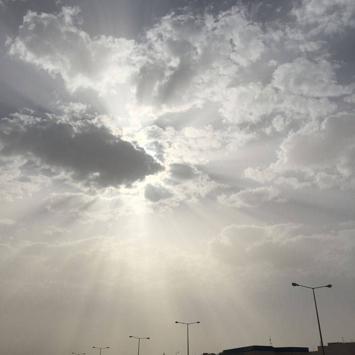 مشاركاتي في أنت الراصد