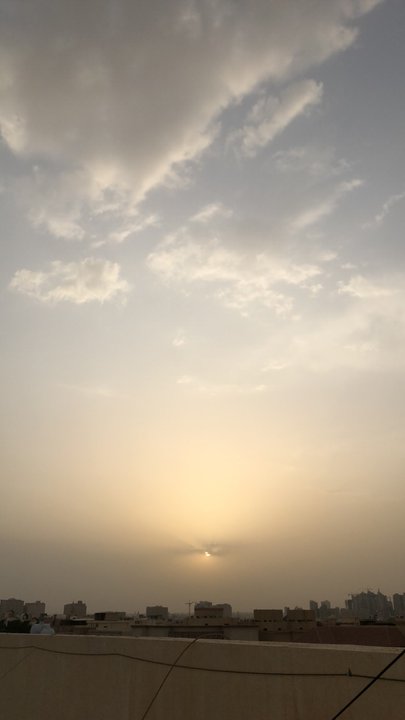 مشاركاتي في أنت الراصد